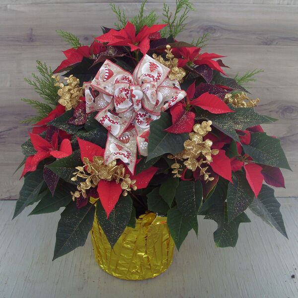 Evergreen Enhanced 10" Poinsettia Red w Gold Ornament: Gold Pot Cover