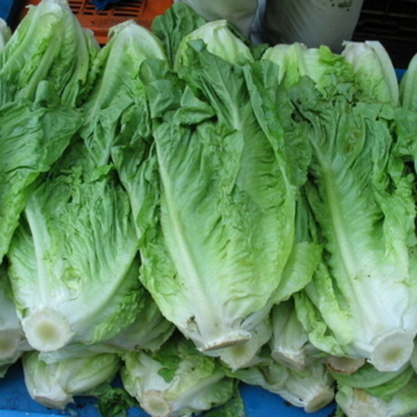 Vegetables / Fruits Sunshine Express Garden Centre, Niagaraonthe