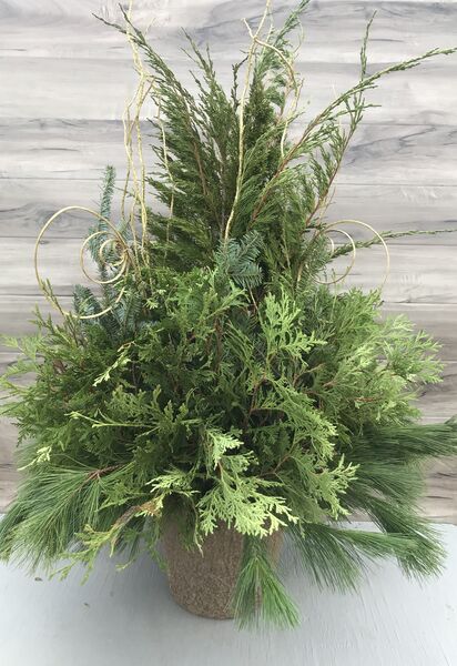 Tall - Gold - Christmas Planters Outdoor - Sunshine Express Garden