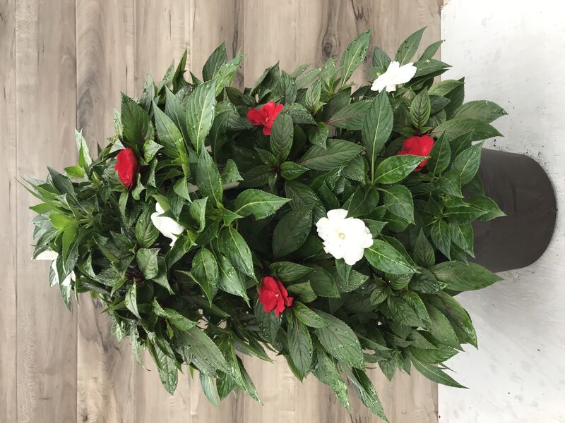 Red and White - Small Tower: 12 inch Planter