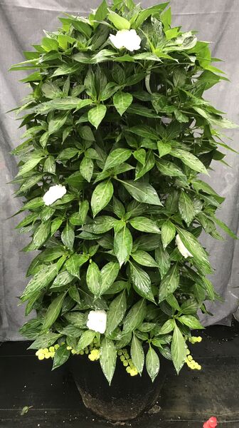 White - Large Tower: 20 inch Planter