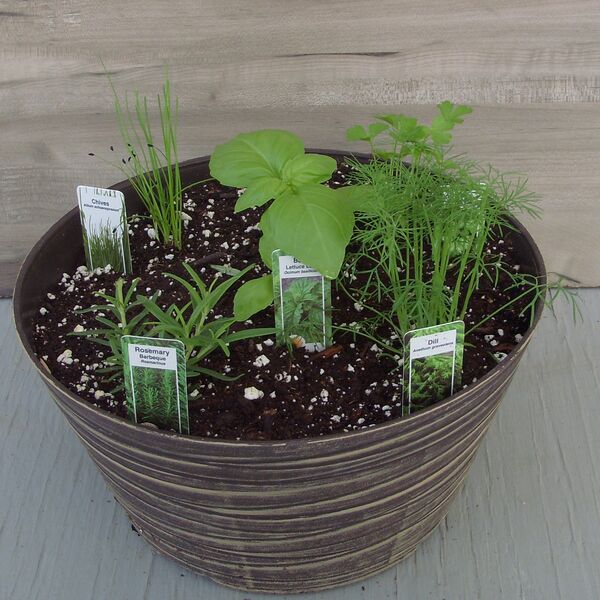 Back to the Basics: 10 inch Bowl