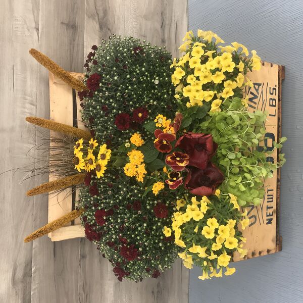 Vintage Box: Vintage Box (17.5 inch x 14 inch x 18.5 inch)