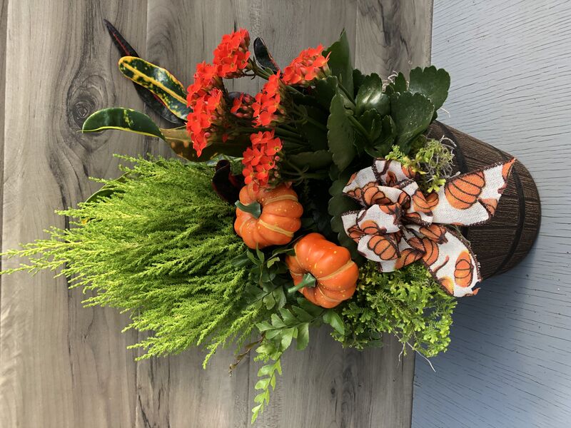Autumn Vibes (Kalanchoe): 8 inch pot Autumn Vibes (Kalanchoe): 8 inch pot