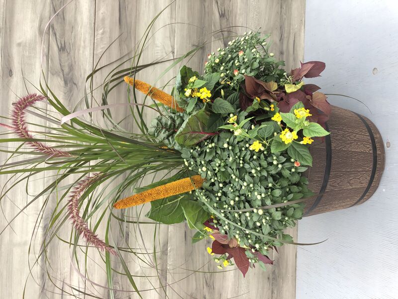 Assorted fall annuals and yellow mums: 16 inch Planter