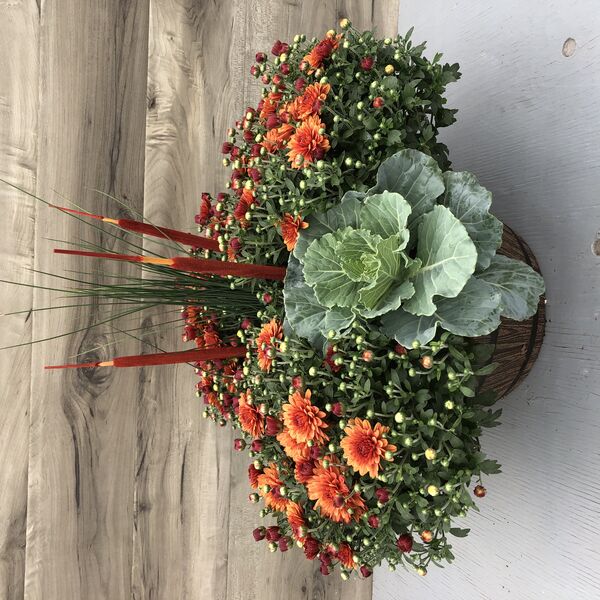 Assorted fall annuals and gold mums: 12 inch Bowl