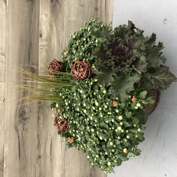 Assorted fall annuals and white mums: 12 inch Bowl