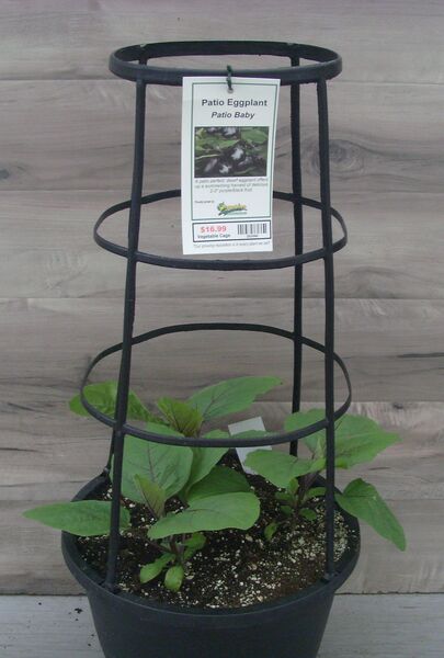 Patio Baby: 12 inch Pot with Cage