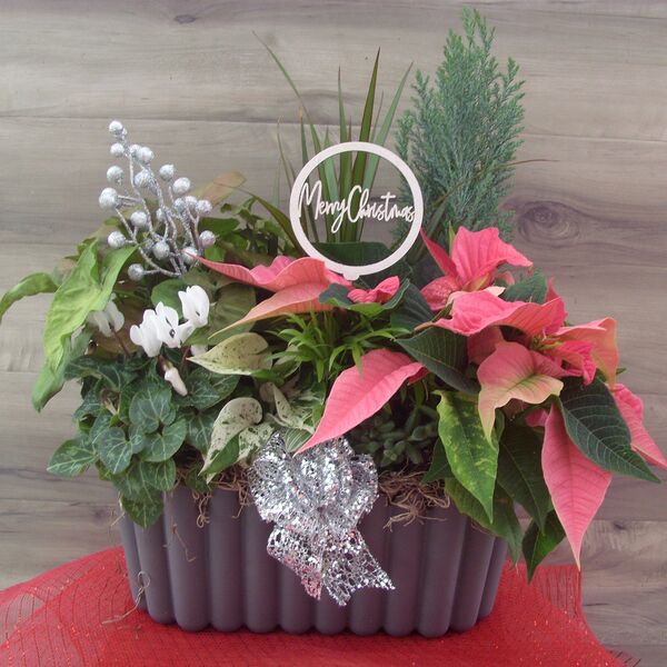 Enchanted Elegance: Decorative Pot