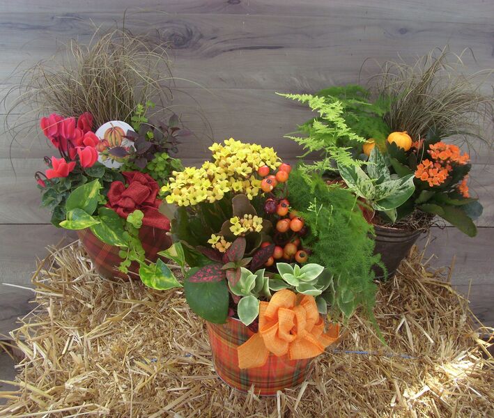 Heart of the Harvest: Decorative Pot