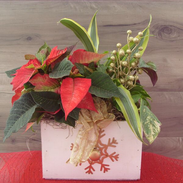 Flurry of Fun: Decorative Wooden Box