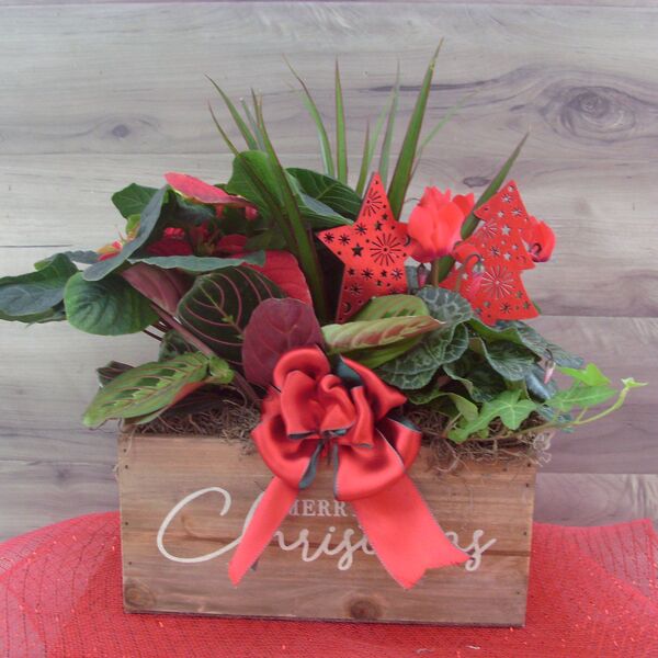 Winter Woodlands: Decorative Wooden Box Winter Woodlands: Decorative Wooden Box