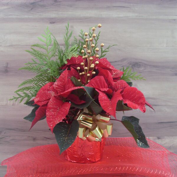 Evergreen Enhanced 6" Poinsettia with Gold Pearls: 6 inch Pot Cover