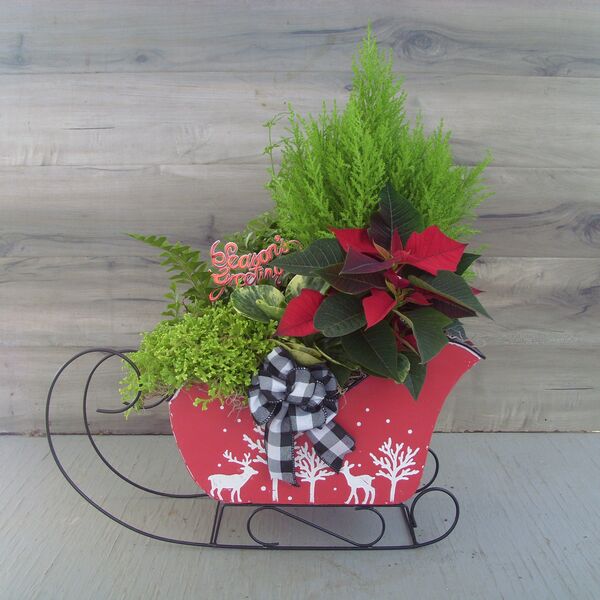 Holly  Jolly Christmas: Decorative Pot