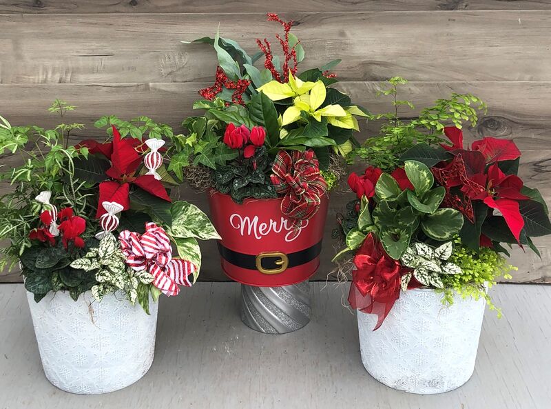 Fresh Holiday Flair: 8 inch Pot