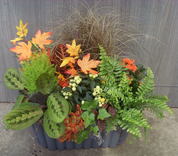 Fiery Fall Flair: 11 x 5.5 inchH