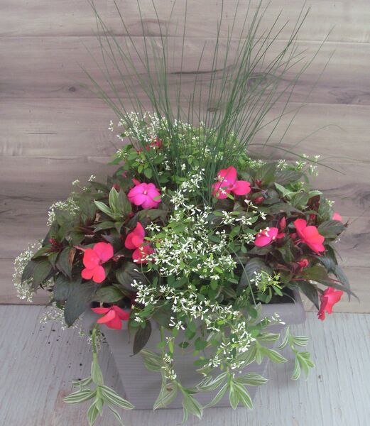 Rose Flair Mix - 16": 16 inch Planter Rose Flair Mix - 16": 16 inch Planter