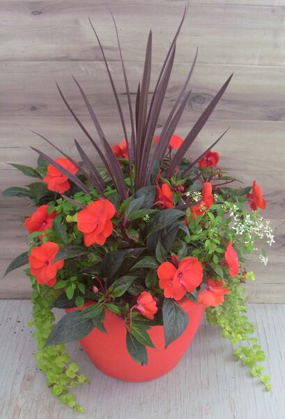 True Red Mix - 16": 16 inch Planter