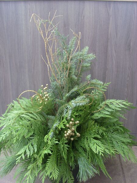 Gold: 12 inch Torino Pot