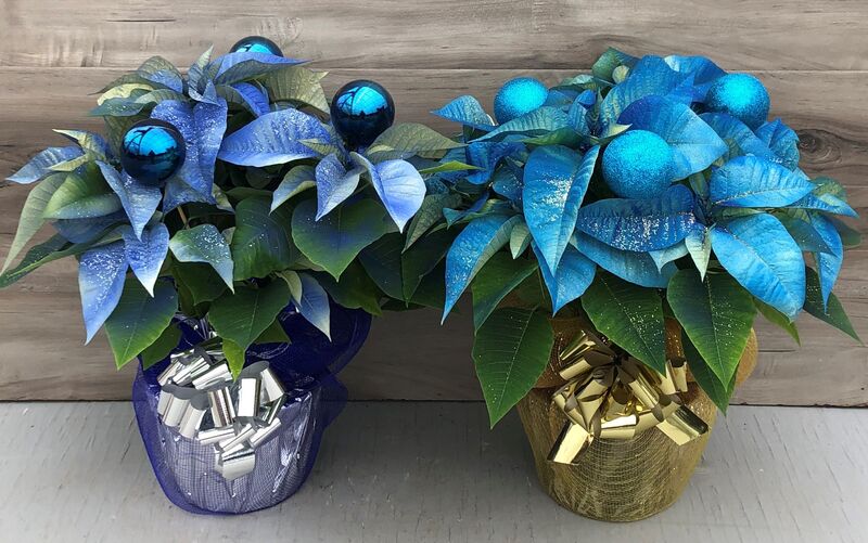 Perfectly Painted - Dark Blue: 6.5 inch pot