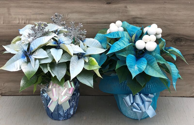 Perfectly Painted - Light Blue: 6.5 inch pot