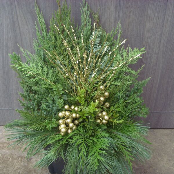 Sparkle & Pine: 10.5 inch pot