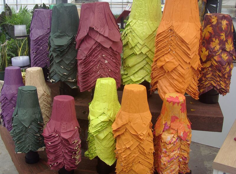 Assorted colours: 6 inch pot