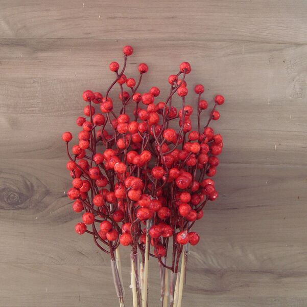 Red Berries:  