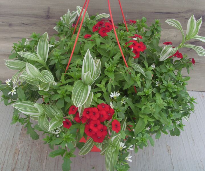White Mix: 13 inch Hanger White Mix: 13 inch Hanger
